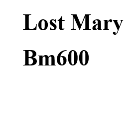 Lost Mary Bm600